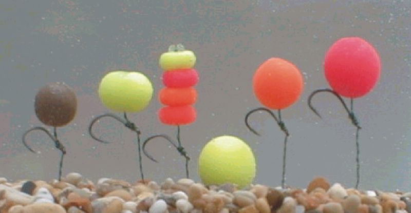 Enterprise Frank Warwick Immortal Boilies 10mm